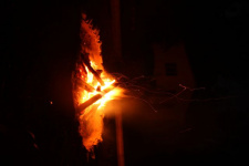 k-IMG_0658