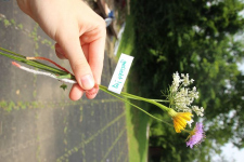 k-IMG_1024