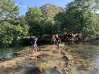 D81302FB-19E2-4889-AAA0-FDB0EEAC5EA3