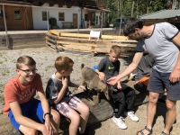 2CB911D1-EE04-4B02-A55A-FB36073323FA-L0-001